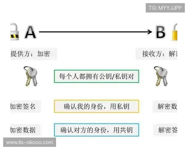 “战术分析软件在意甲俱乐部普及，驱动决策精细化”